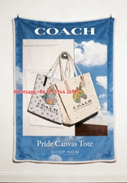 Coach Pride Canvas Tote Flannel Throw Blanket for Sofa C168